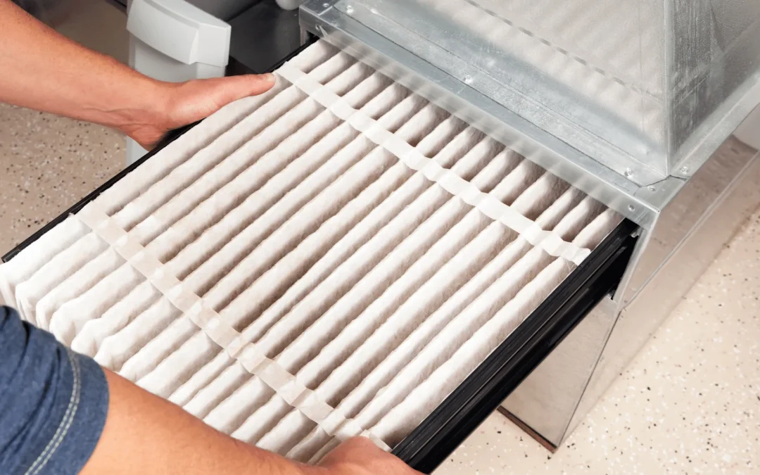 Recommendations Affordable Car Air Filters in Australia